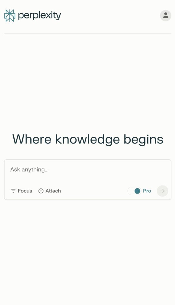 Perplexity Chat Interface